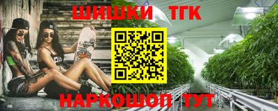 тгк Гусев