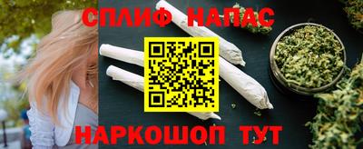 тгк Гусев