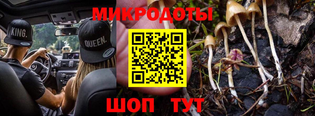 Псилоцибиновые грибы Psilocybine cubensis  Псилоцибиновые грибы мухоморы  Вход с VPN  Новосибирск 
